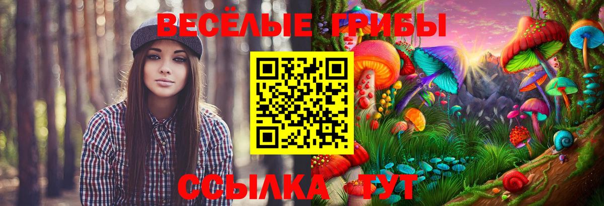 Северск  Псилоцибиновые грибы Psilocybine cubensis  Псилоцибиновые грибы Cubensis  Вход с VPN 