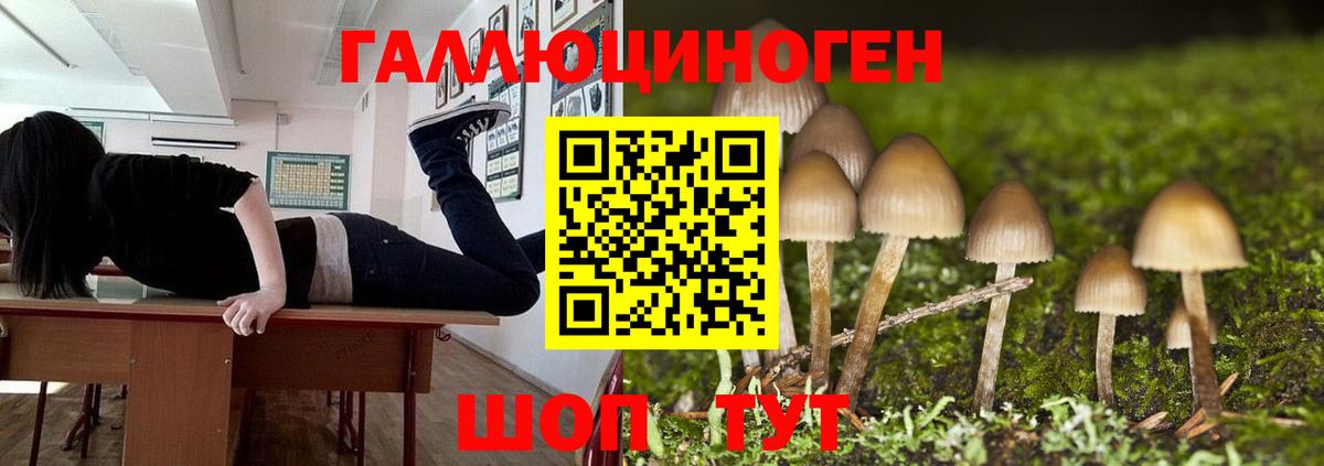 Псилоцибиновые грибы Magic Shrooms Северск